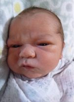 Noah Rex Noah Rex